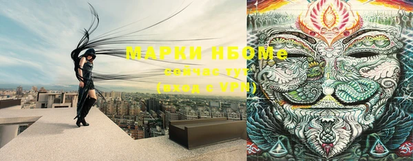 молекула духа Кинешма