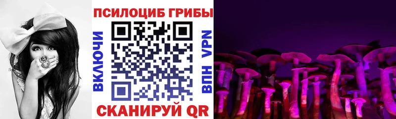 Псилоцибиновые грибы Psilocybe  как найти наркотики  МЕГА   Невельск 
